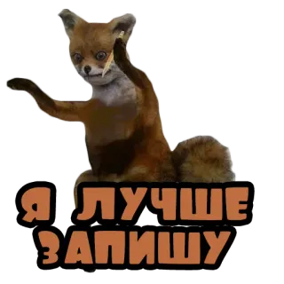 ✍️ Я ЛУЧШЕ ЗАПИШУ fuchs, schreiben, tier, lustig, meme whatsapp sticker