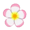 🌸
