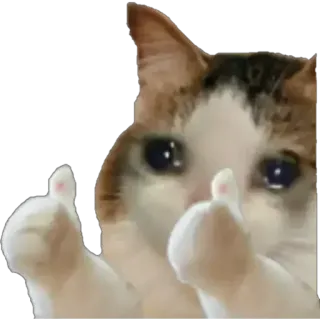 @A_M_2004 whatsapp stickers