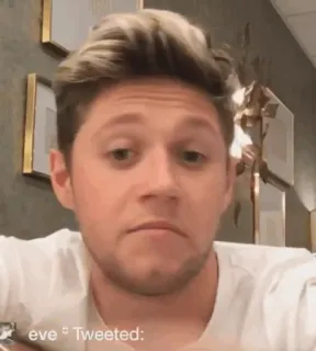 🎸 Niall Horan homem, músico, celebridade, cantor, retrato, niall horan telegram sticker