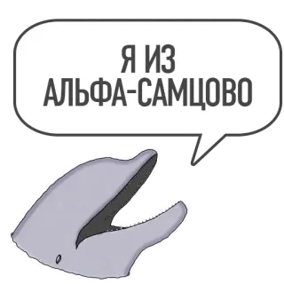 🍆 Я ИЗ АЛЬФА-САМЦОВО delfín, alfa, macho, ruso, animal, mamífero, bocadillo, texto whatsapp sticker