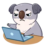 😒 koala, laptop, animal, computer, office, tired, work, cartoon telegram sticker