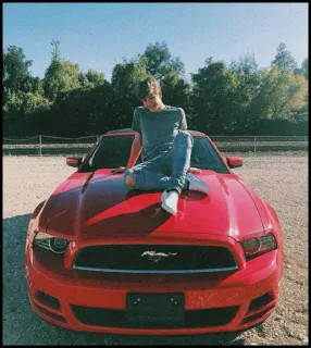 🐾 đàn ông, xe hơi, màu đỏ, ô tô, ford mustang telegram sticker
