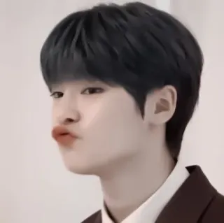 🦊 personne, homme, coréen, mignon, mâle whatsapp sticker