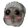 👸