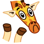 👏 giraffa, animale, cartone animato, carino telegram sticker