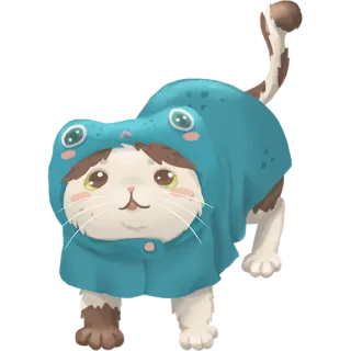 🌧 gatto, animale, carino, rana, animale domestico, gattino, costume telegram sticker