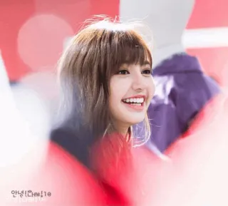Lalisa 🌱 [ @btsloveyourself ] telegram stickers