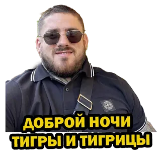 😴 ДОБРОЙ НОЧИ ТИГРЫ И ТИГРИЦЫ whatsapp sticker
