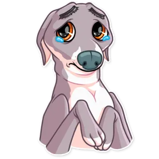🥺 หมา, เกรย์ฮาวนด์, เศร้า, น้ำตา, ลูกหมา, การ์ตูน, สติกเกอร์ whatsapp sticker