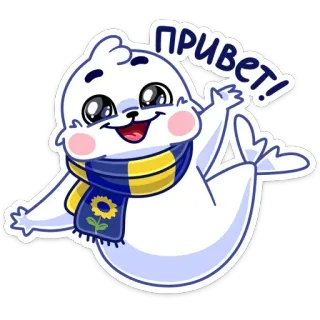 👋 Привет! Dessin animé, Phoque, Animal, Bonjour, Écharpe, Mignon whatsapp sticker