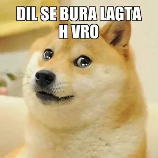 🥺 DIL SE BURA LAGTA H VRO doge, 表情包, 印地语, 伤心, 沮丧, 狗, 搞笑 telegram sticker