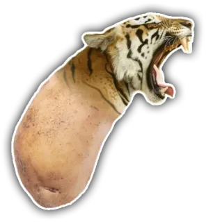 🐯 tigre, patata, animal, comida, divertido, híbrido, meme, arte digital whatsapp sticker