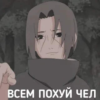 😏 ВСЕМ ПОХУЙ ЧЕЛ anime, character, russian, text telegram sticker