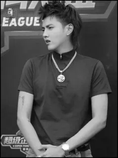 🎥 Kris Wu beroemdheid, man, persoon, zanger, kris wu, acteur, idool telegram sticker