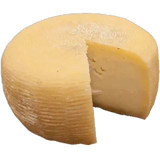 🧀 kaas, eten, zuivel, rond, geel, gesneden, hapje telegram sticker