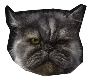 😐 แมว, ขี้หงุดหงิด, สัตว์, สัตว์เลี้ยง, แมว, สติกเกอร์ telegram sticker