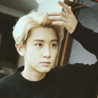 🇩🇴 Chanyeol kpop, cantante, celebrità, idol, asiatico, uomo telegram sticker
