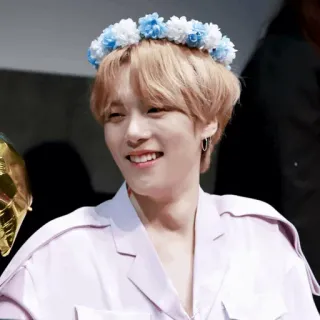 🌫 persona, sonriendo, corona de flores, retrato, joven, coreano whatsapp sticker