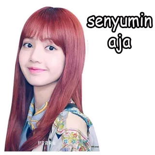 ✖️ Lisa senyumin aja K-pop, Lisa, Blackpink, smile, sticker, idol, Asian whatsapp sticker