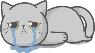 😢 Katze, weinen, traurig, Tränen, Emoticon, Cartoon, Tier telegram sticker