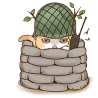 💂‍♂ kucing, helm, karung pasir, hewan, kartun, militer telegram sticker