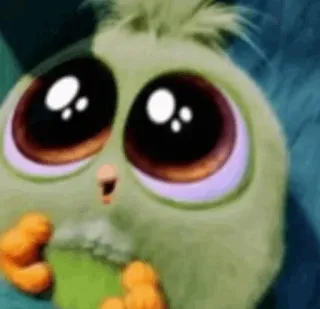 😍 мультик, милый, птица, животное, глаза telegram sticker