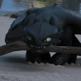 🤬 Toothless How to Train Your Dragon มังกร, ดำ, สัตว์, ภาพยนตร์, แฟนตาซี whatsapp sticker