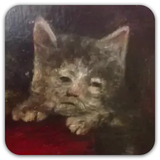 🙁 gato, animal, retrato, pintura telegram sticker