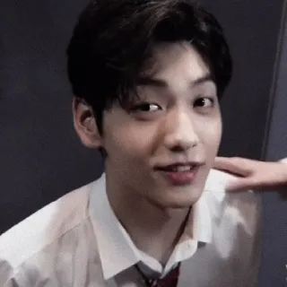 🎐 whatsapp sticker