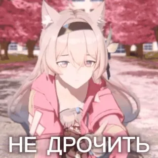 🔞 НЕ ДРОЧИТЬ garota anime, orelhas de gato, ofensivo, russo whatsapp sticker