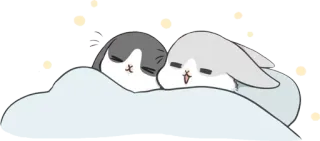 💤 królik, królik, śpiący, słodki, kreskówka, zwierzę, łóżko telegram sticker