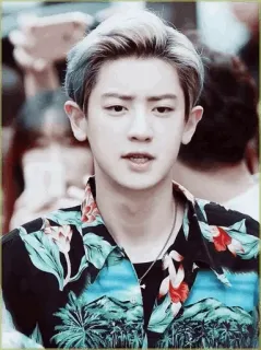 💮 Chanyeol kpop, chanteur, exo, idole, asiatique, homme, portrait telegram sticker
