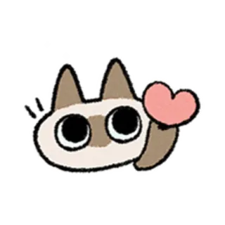 😺 gato, coração, fofo, amor, animal telegram sticker