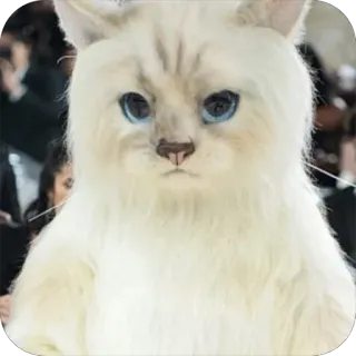 🫥 mèo, động vật, thú cưng, dễ thương, động vật có vú telegram sticker