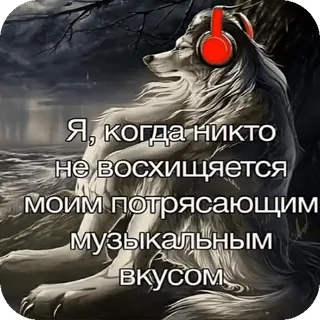 🙋♂ Я, когда никто не восхищается моим потрясающим музыкальным вкусом telegram sticker