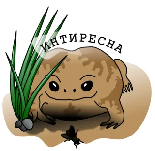 😱 ИНТИРЕСНА toad, frog, animal, nature, grass, fly, cute telegram sticker