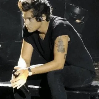 🎵 Harry Styles man, sitting, person, celebrity, singer telegram sticker