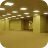 💡