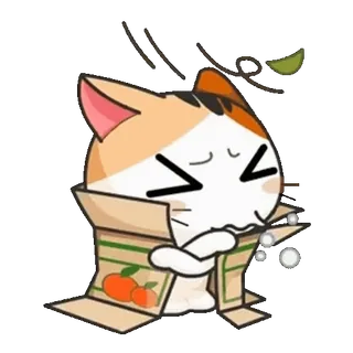 🥶 แมว, กล่อง, น่ารัก, สติกเกอร์, การ์ตูน, สัตว์ telegram sticker