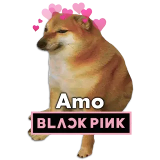 🐶 Amo
BLAƆK PIИK หมา, มีม, หัวใจ, K-Pop, Blackpink whatsapp sticker