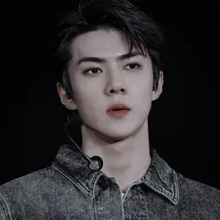 🐺 male, portrait, man, person, singer, kpop telegram sticker