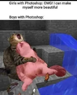 😭 Girls with Photoshop: OMG! I can make
myself more beautiful
Boys with Photoshop: Photoshop, Meme, Kucing, Minecraft, Humor telegram sticker