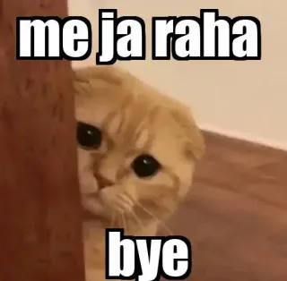 👀 me ja raha
bye gato, triste, meme, partida, despedida, lindo telegram sticker
