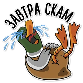 😂 ЗАВТРА СКАМ kaczka, płacz, oszustwo, rosyjski tekst, kreskówka, smutny telegram sticker
