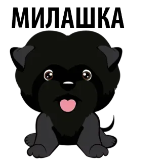 🐶 МИЛАШКА hond, puppy, schattig, huisdier, dier, cartoon whatsapp sticker
