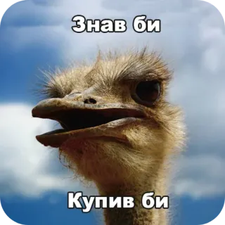 🐦 Знав би
Купив би telegram sticker