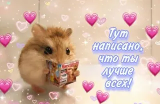 👹 Тут написано, что ты лучше всех! criceto, carino, cuori, messaggio positivo telegram sticker