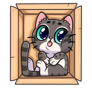 😝 kucing, anak kucing, kotak, imut, hewan, hewan peliharaan whatsapp sticker