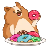 🤤 corgi, donut, snoep, hond, dessert, eten telegram sticker